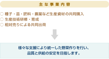 主な生産内容。・種子、苗、肥料、農薬など生産資材の共同購入。・生産技術指導、育成。・相対売りによる共同販売